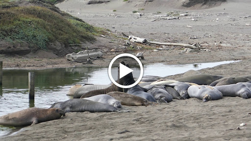 Supermarket «Stater Bros. Markets», reviews and photos, 8770 Base Line Rd, Alta Loma, CA 91701, USA