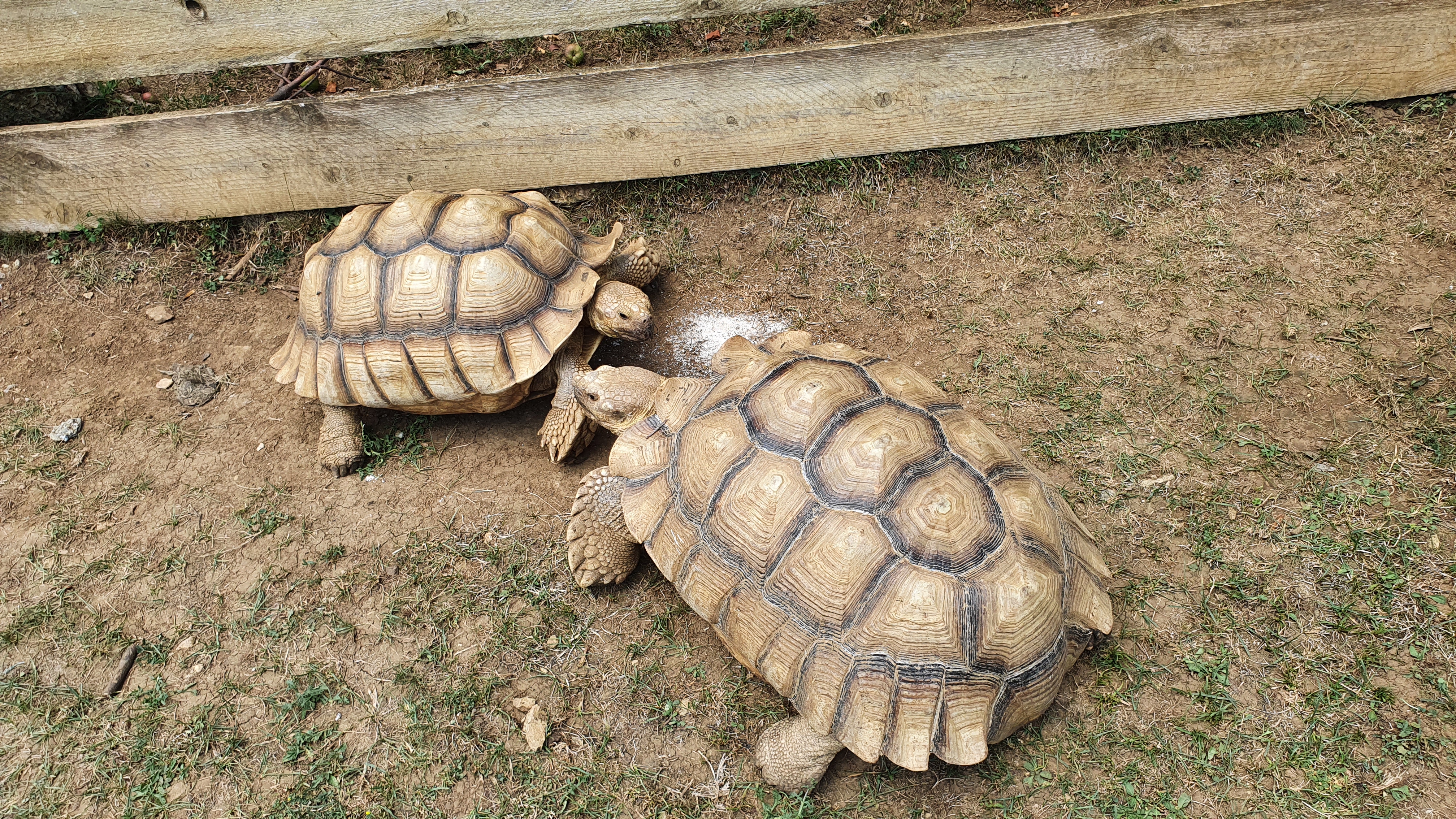 Photo n° 3 de l'avis de Anne.o fait le 27/07/2021 à 15:24