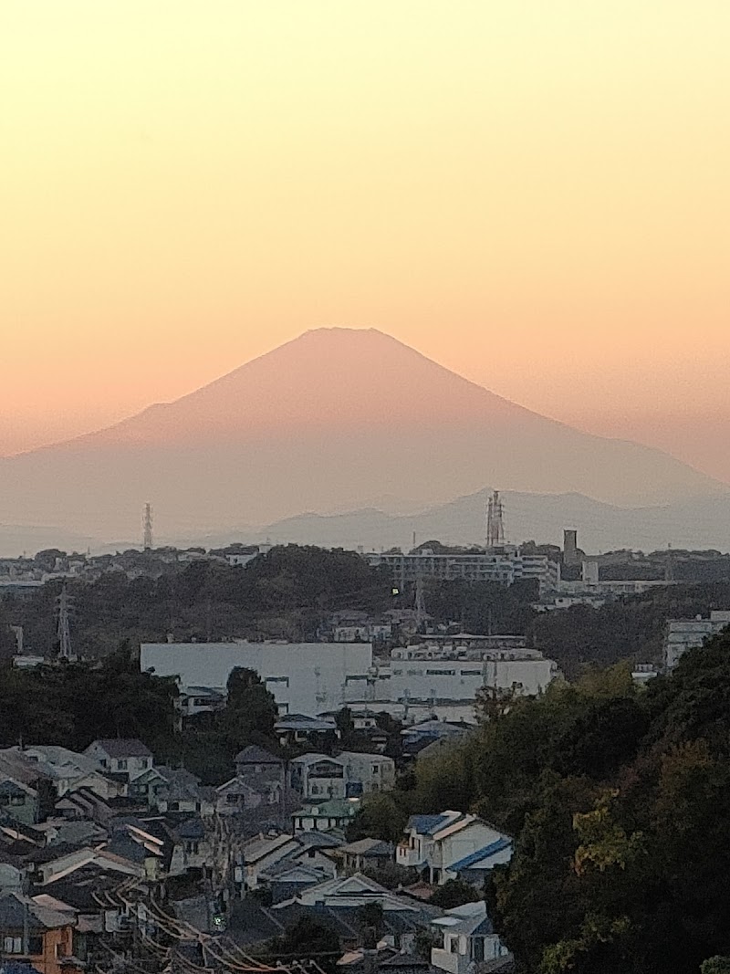 下永谷市民の森