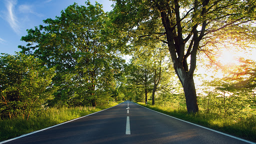 Used Car Dealer «CarMax», reviews and photos, 11880 I-35, San Antonio, TX 78239, USA