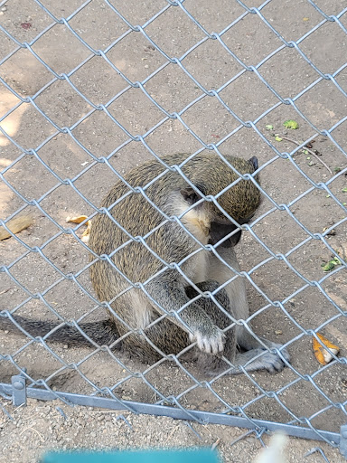 Zoo «Sierra Safari Zoo», reviews and photos, 10200 N Virginia St, Reno, NV 89506, USA