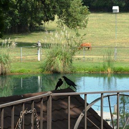 Event Venue «Hillside Manor», reviews and photos, 1498 E Interstate Dr, Norman, OK 73072, USA