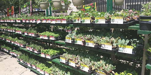 Home Improvement Store «The Home Depot», reviews and photos, 4949 NW Old Pike Rd, Gladstone, MO 64118, USA