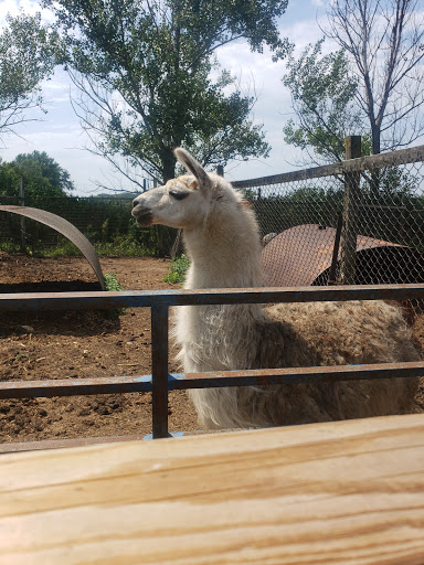 Zoo «Cricket Hollow Zoo», reviews and photos, 1512 210th St, Manchester, IA 52057, USA
