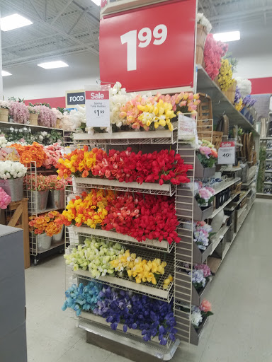 Craft Store «Michaels», reviews and photos, 4999 Houston Rd #200, Florence, KY 41042, USA
