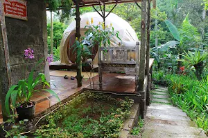 Bali Jungle Camping image