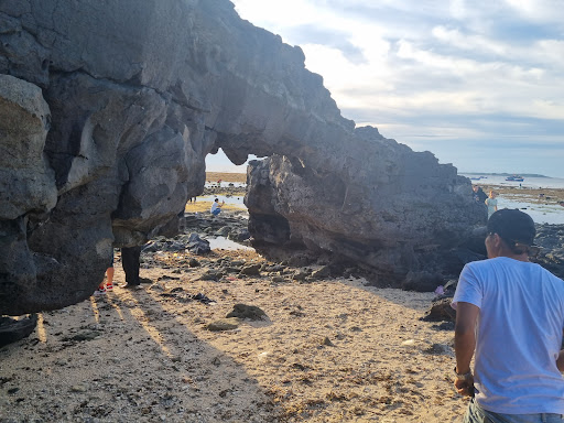 Top 20 cửa hàng akemi Huyện Lý Sơn Quảng Ngãi 2022