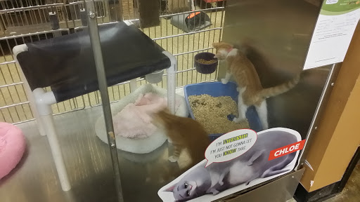 Pet Supply Store «PetSmart», reviews and photos, 9041 Snowden Square Dr, Columbia, MD 21045, USA