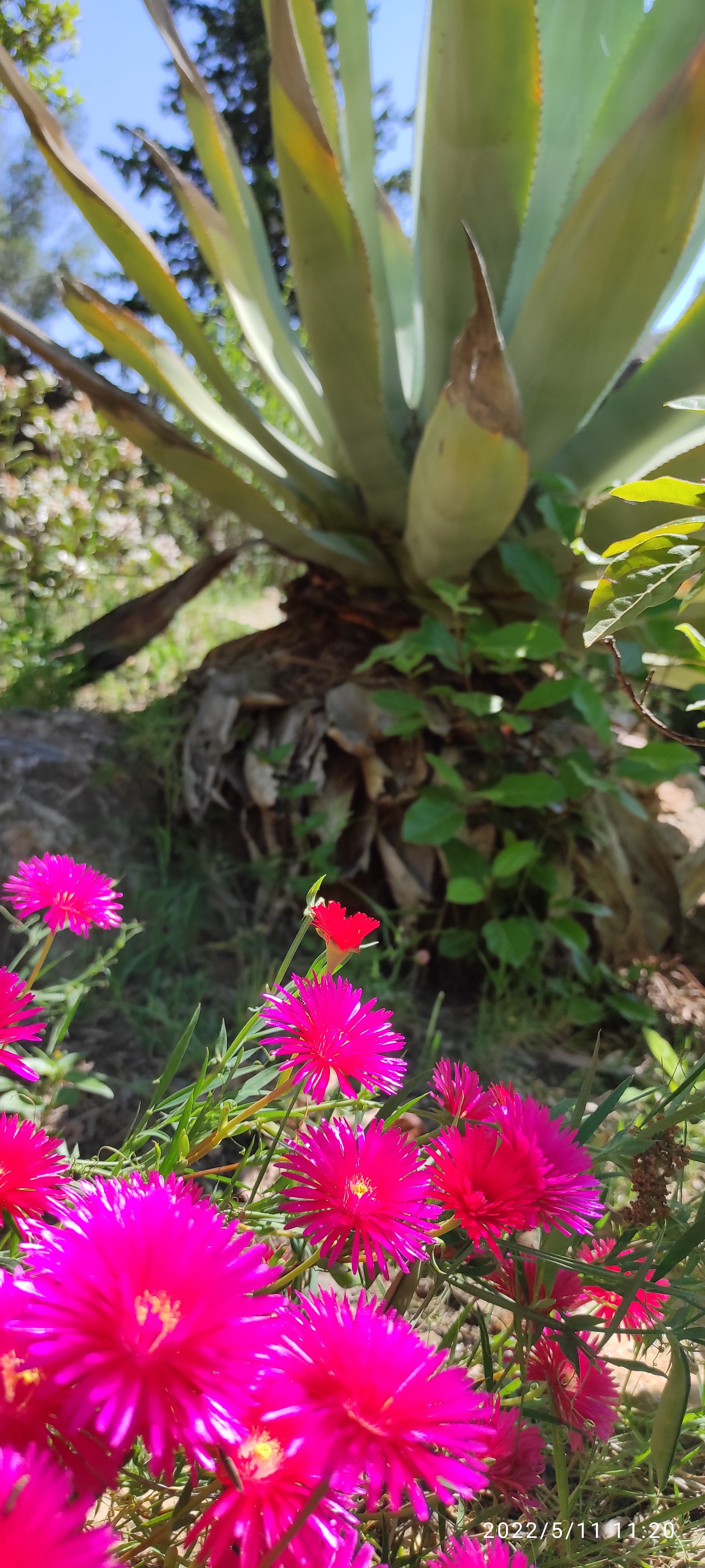 Photo n° 2 de l'avis de Didier.o fait le 13/05/2022 à 17:41