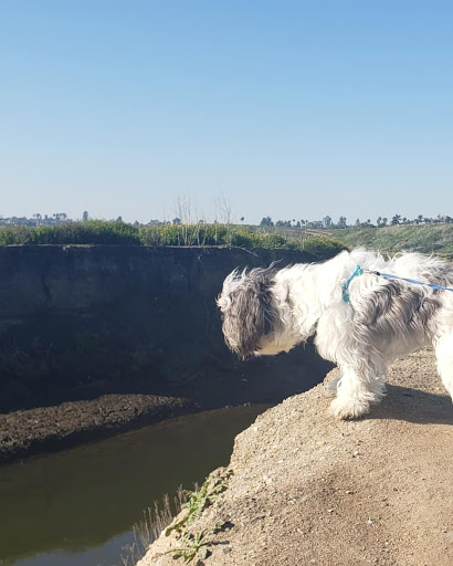 Nature Preserve «Newport Bay Conservancy», reviews and photos, 2301 University Dr, Newport Beach, CA 92660, USA