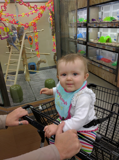 Pet Supply Store «Petco Animal Supplies», reviews and photos, 226 Thornton Drive, Dickson, TN 37055, USA