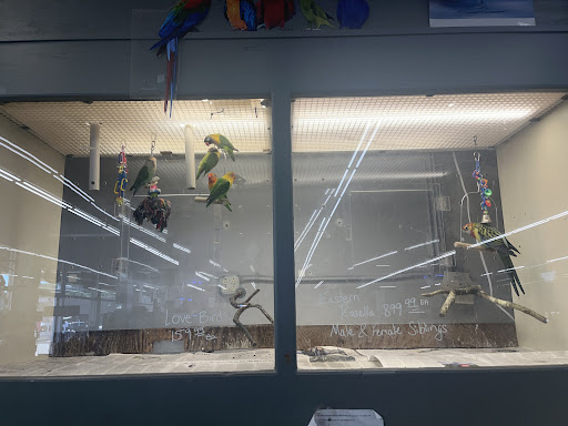 Pet Store «Sierra Fish and Pets», reviews and photos, 601 S Grady Way Suite M, Renton, WA 98057, USA