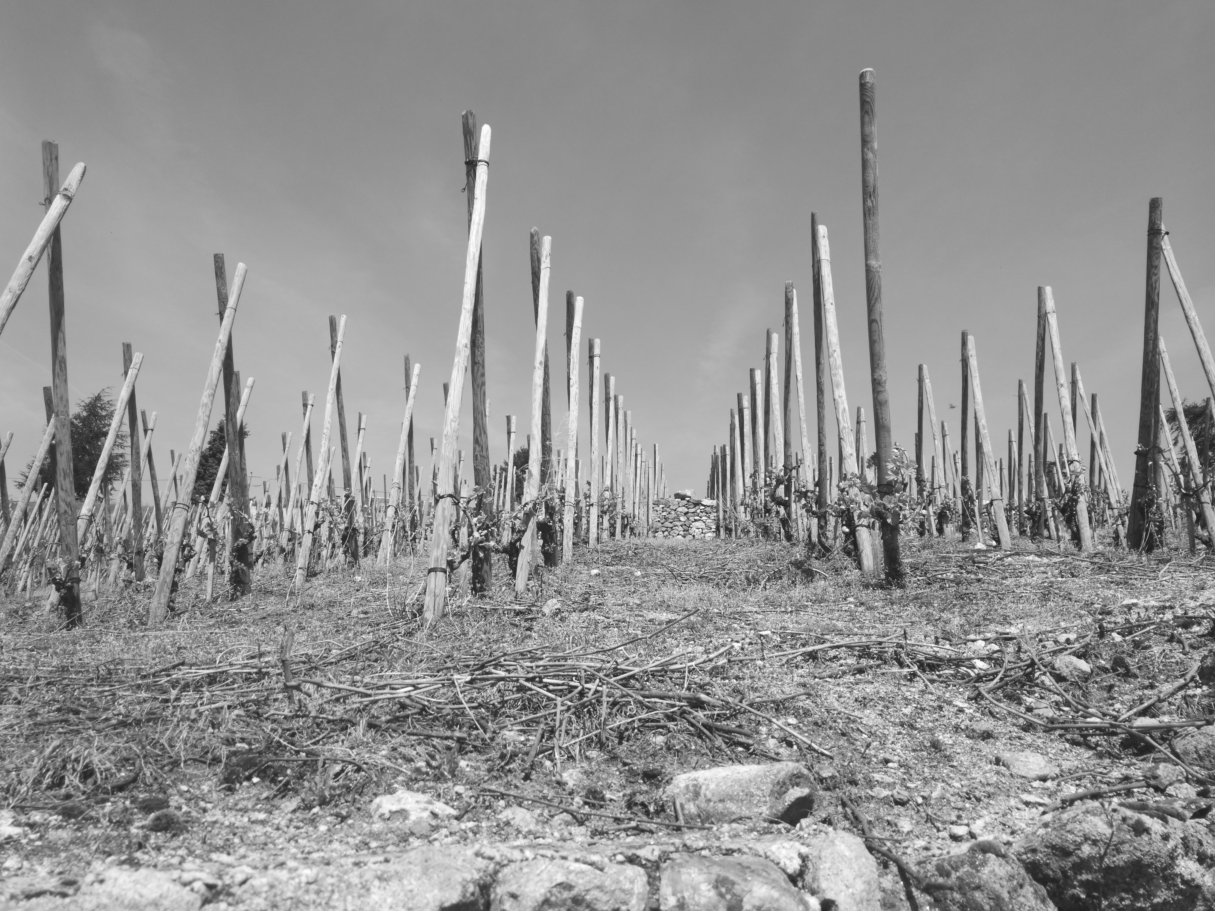 Photo n° 1 de l'avis de Bogdan.r fait le 19/04/2018 à 21:20