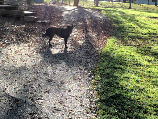 Park «Slide Hill Park», reviews and photos, 2850 Temple Dr, Davis, CA 95618, USA