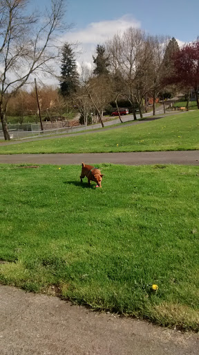Park «Foster Memorial Park», reviews and photos, 13919 53rd Ave S, Tukwila, WA 98168, USA