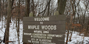 Maple Woods Natural Area