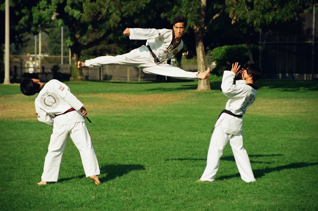 Ultimate Tae Kwon Do Martial Arts - (Glendale)