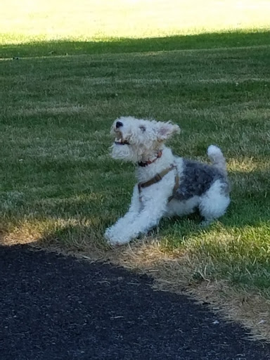 Park «Center Street Park», reviews and photos, 11895 SW Center St, Beaverton, OR 97005, USA