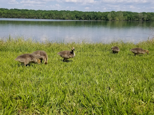 State Park «Long Hunter State Park», reviews and photos, 2910 Hobson Pike, Hermitage, TN 37076, USA