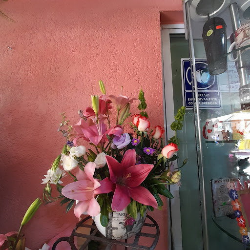 Florería y Regalos Primavera – Tlalnepantla de Baz