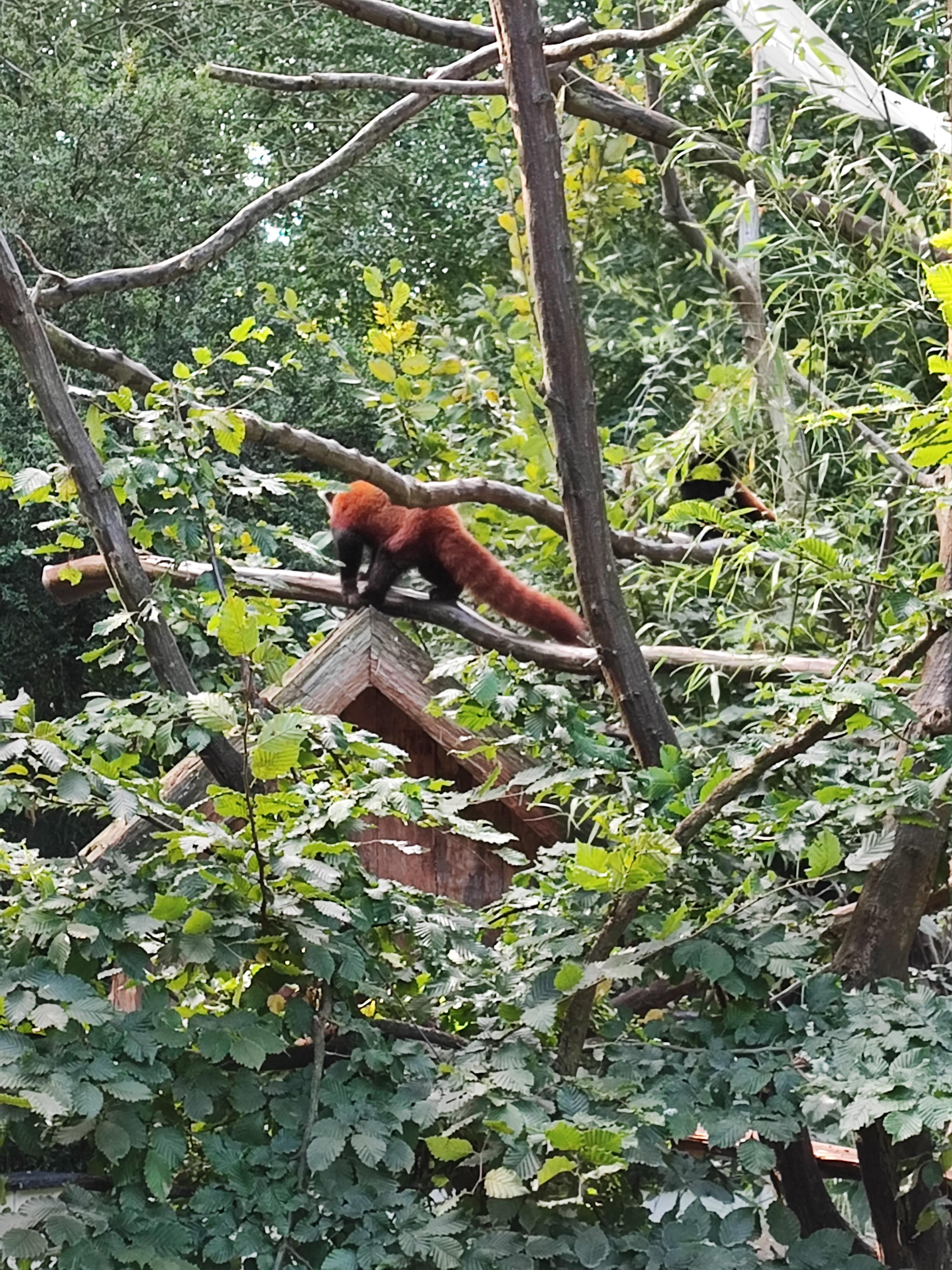 Photo n° 6 de l'avis de Stéphane.o fait le 25/09/2022 à 07:34