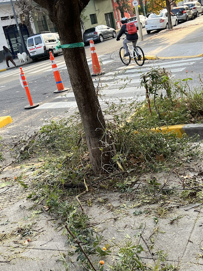 Recursos naturales renovables para el medio ambiente