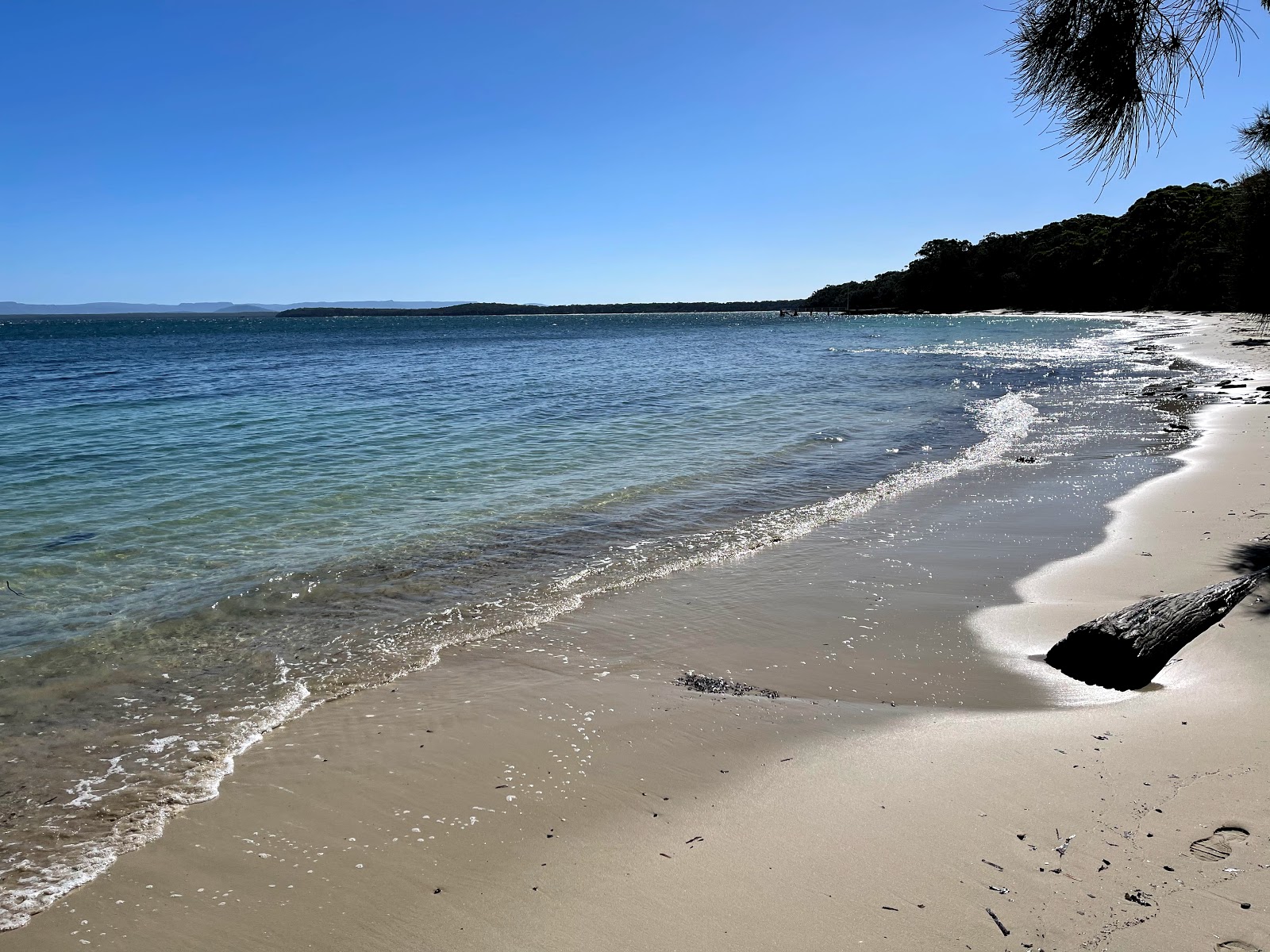 Bindijine Beach photo #9