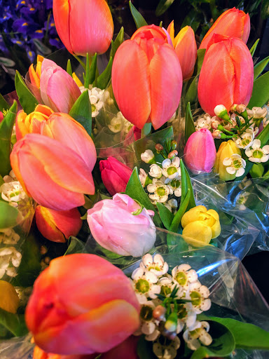 Grocery Store «The Fresh Market», reviews and photos, 1500 Peachtree Industrial Blvd, Suwanee, GA 30024, USA