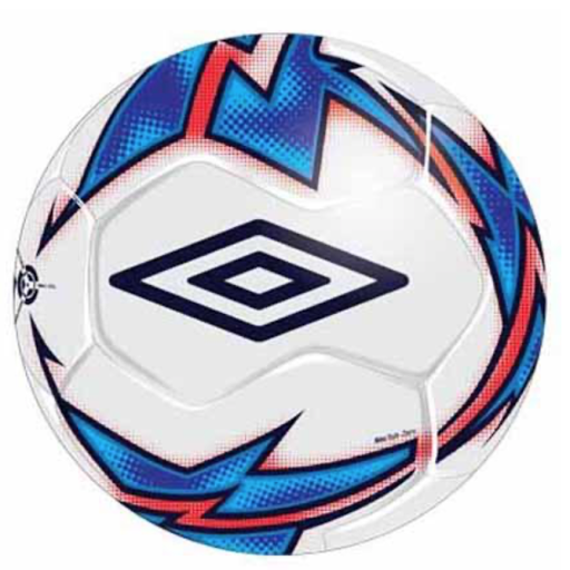 Sporting Goods Store «BQ Sports Inc», reviews and photos, 601 Manhattan Ave, Brooklyn, NY 11222, USA