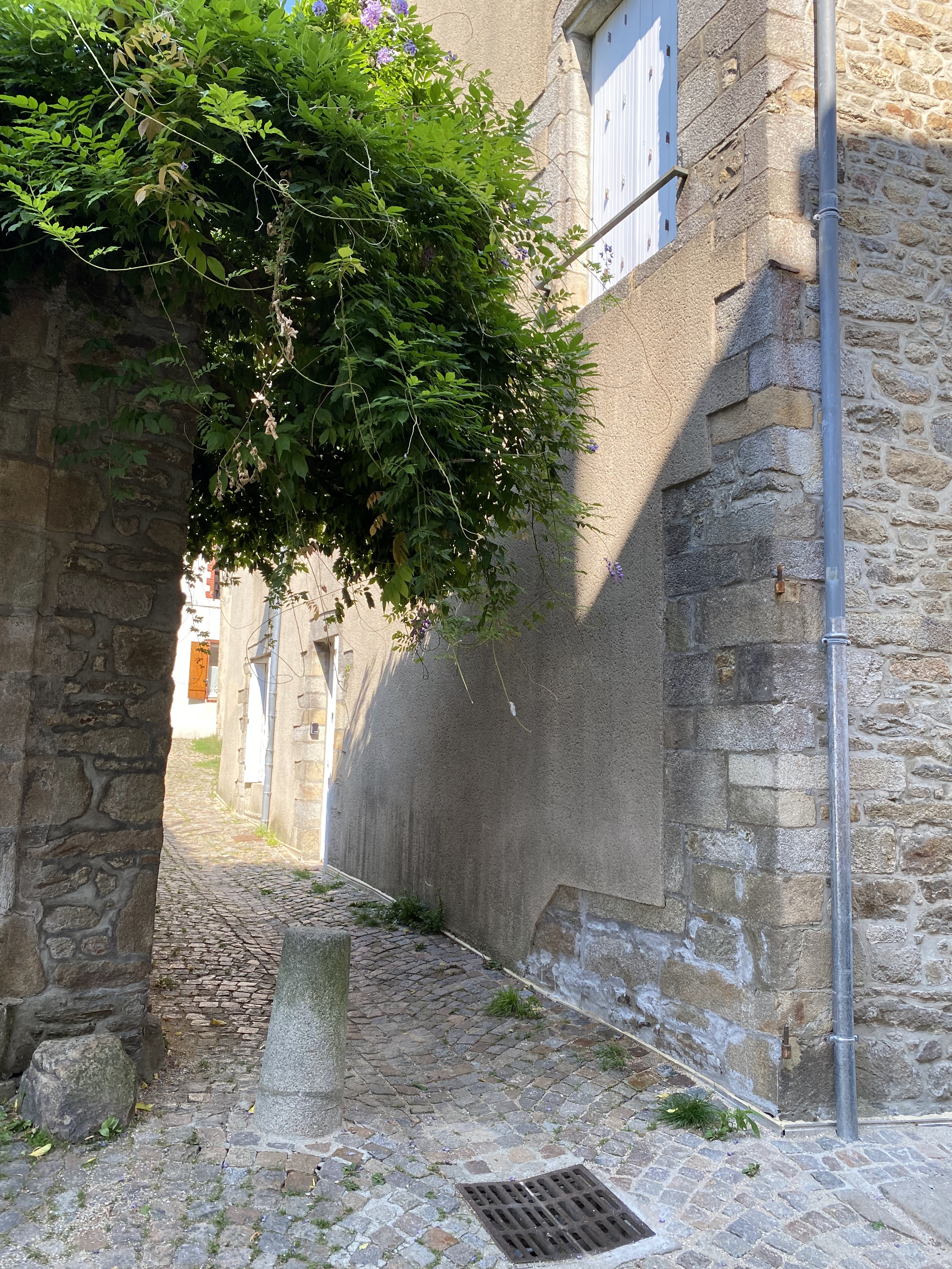 Photo n° 2 de l'avis de Pol.a fait le 27/08/2021 à 21:49