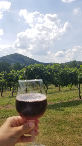 Winery «Sharp Mountain Vineyards», reviews and photos, 110 Rathgeb Trail, Jasper, GA 30143, USA
