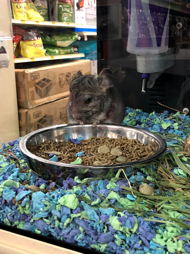 Pet Supply Store «PetSmart», reviews and photos, 2525 W Wheatland Rd, Dallas, TX 75237, USA