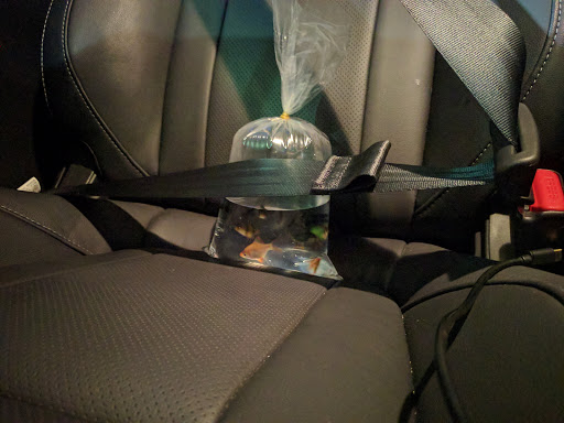 Pet Supply Store «Pet Supplies Plus», reviews and photos, 4500 Arroyo Vista, Livermore, CA 94551, USA