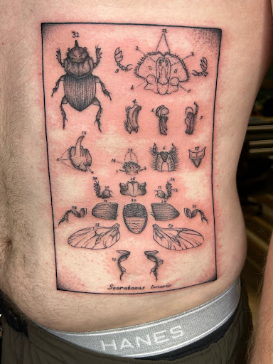 Explore feather tattoo ideas for men, creative tattoo ideas in Biloxi, available at Artisan Ink Studio