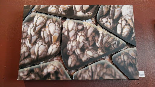 Coffee Shop «Kaladi Brothers Coffee», reviews and photos, 517 E Pike St, Seattle, WA 98122, USA