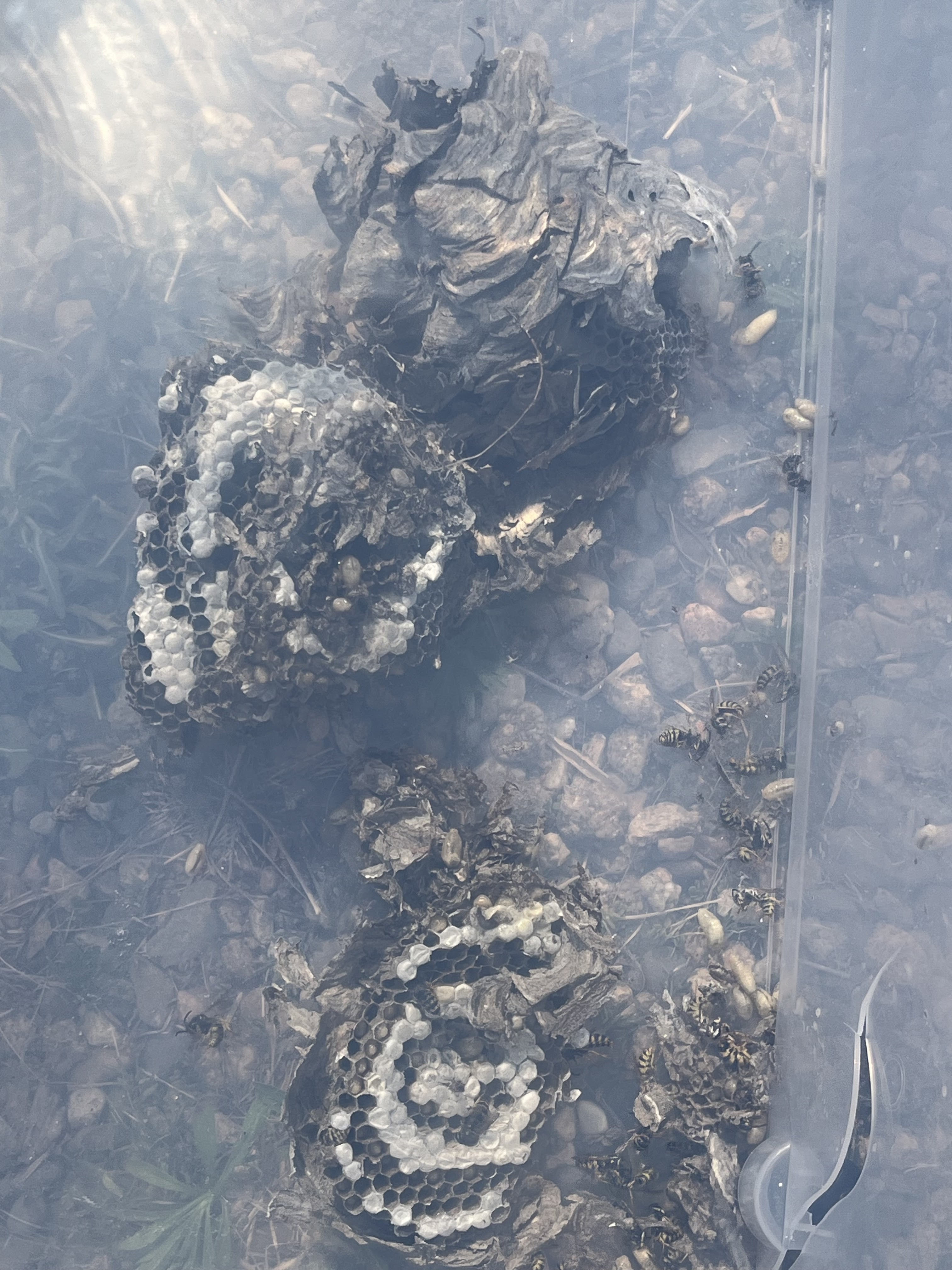 Photo n° 1 de l'avis de Yannick.H fait le 15/07/2023 à 16:02