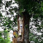 Photo n°3 de l'avis de Elfi. fait le 09/08/2022 à 18:43 sur le  Boutiquehotel Liebesglück - genießen zu zweit in Winterberg à Winterberg