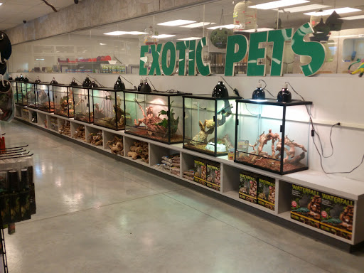 Pet Store «Exotic Pets», reviews and photos, 2410 N Decatur Blvd #160, Las Vegas, NV 89108, USA