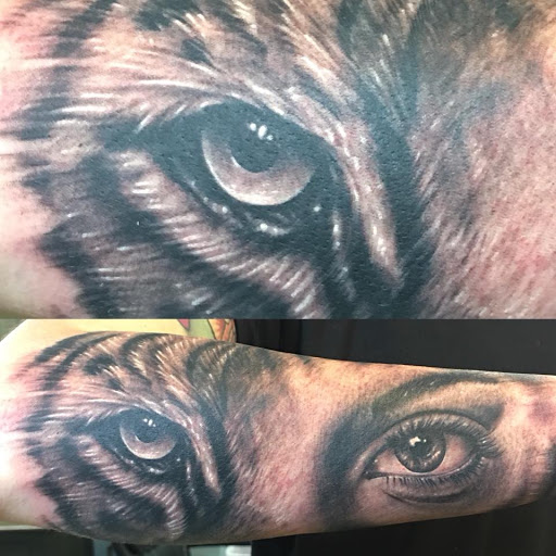 Steve Irwin Tattoo