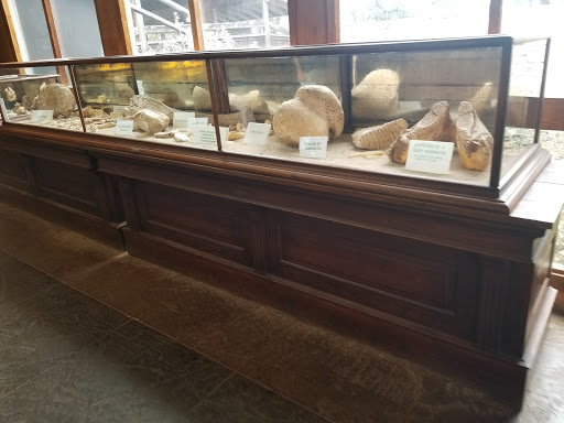 Tourist Attraction «Inner Space Cavern», reviews and photos, 4200 I-35, Georgetown, TX 78626, USA