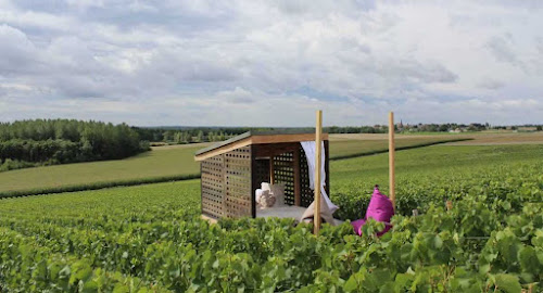 Loge de vigne « La loge-lit » à Changy