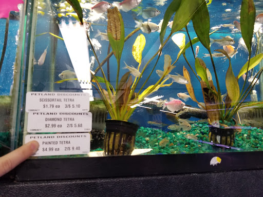 Pet Supply Store «Petland Discounts - Flatbush Ave.», reviews and photos, 968 Flatbush Ave, Brooklyn, NY 11226, USA