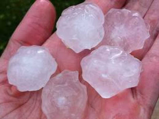 Insurance Agency «Dottrio, LLC - Public Adjusters - Insurance Appraisers», reviews and photos