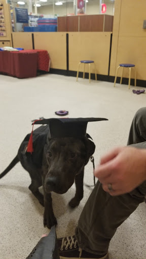 Pet Supply Store «PetSmart», reviews and photos, 1130 SE Everett Mall Way, Everett, WA 98208, USA