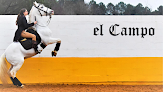 Écuries El Campo | Dax | Mées | Pension chevaux | Compétitions Mées
