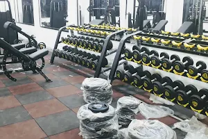 The Xtreme Fitness. Best quality gym setup service image