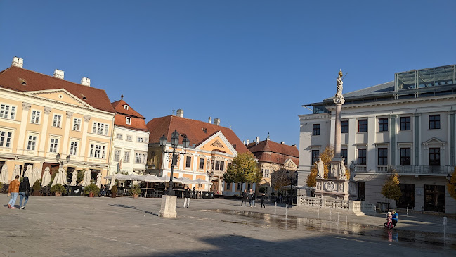 Értékelések erről a helyről: Vastuskós-ház, Győr - Múzeum
