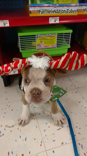 Pet Supply Store «Petco Animal Supplies», reviews and photos, 4950 S 76th St, Greenfield, WI 53220, USA