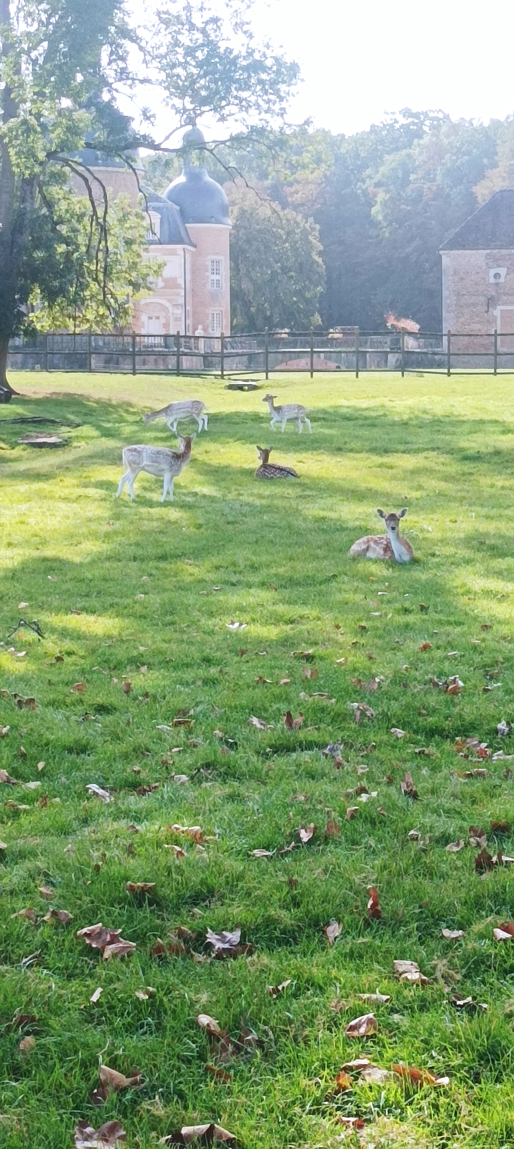 Photo n° 1 de l'avis de Didier.t fait le 12/10/2023 à 09:06