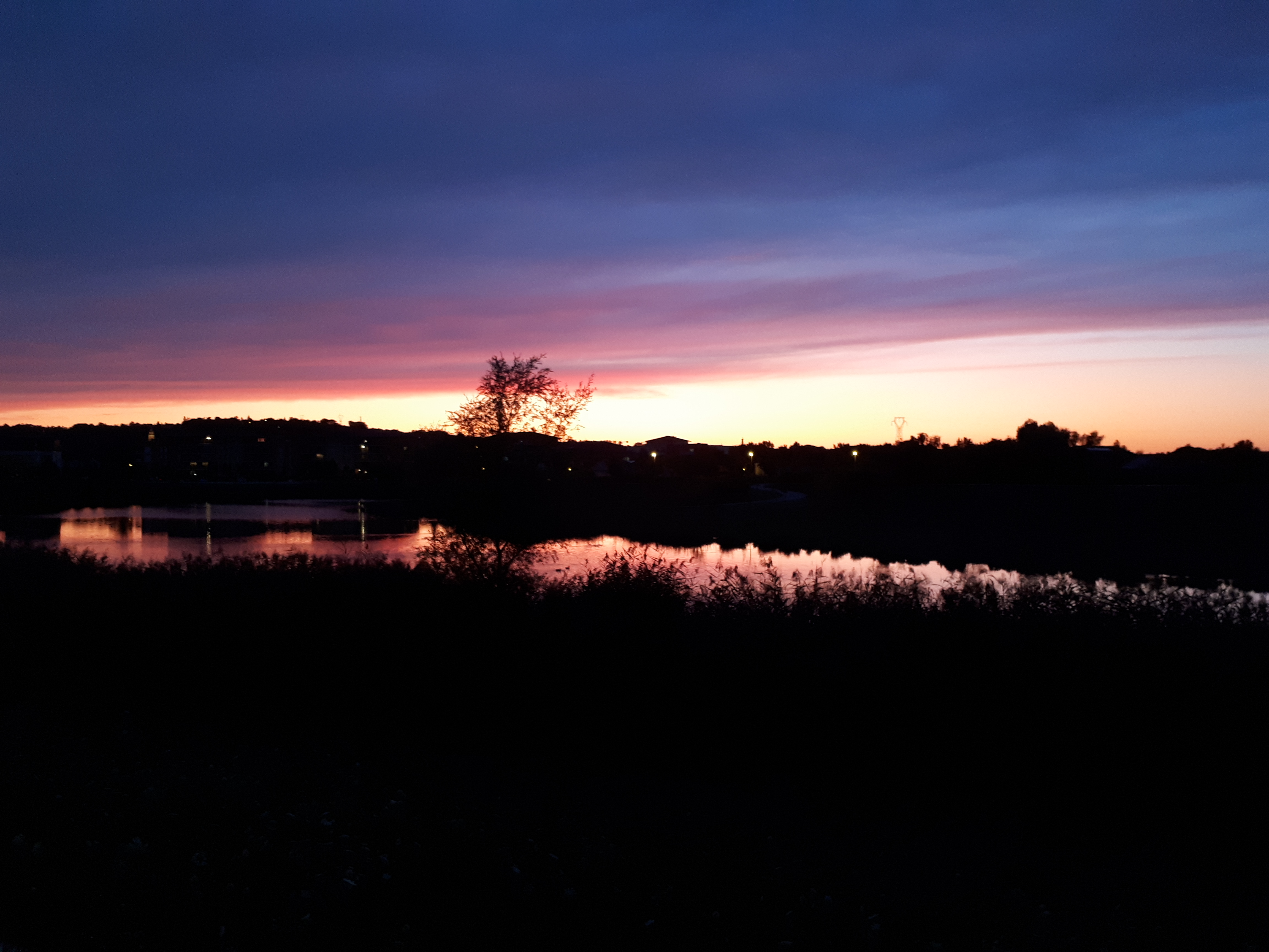 Photo n° 3 de l'avis de LABAT-GEST.o fait le 21/08/2019 à 19:53